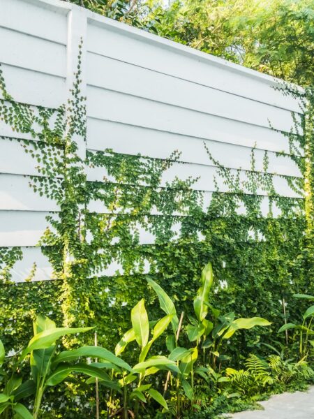 Fence Installation